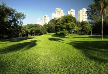 Tudo sobre o bairro Panamby. Venha conhecer!