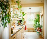 Veja: plantas que se adaptam melhor dentro de casa
