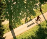 Dia Mundial da Bicicleta: 3 de junho – Bora pedalar?