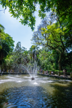 O Parque da Água Branca fica pertinho da Barra Funda