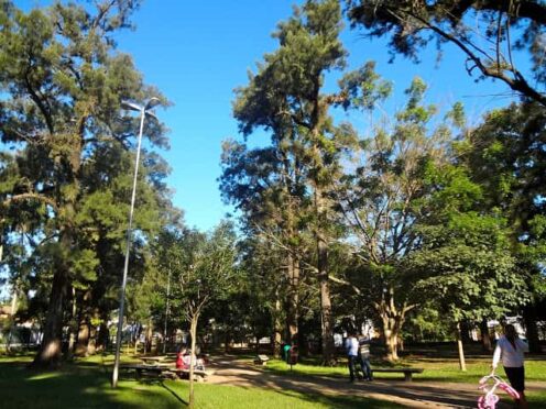 Parque Severo Gomes; Santo Amaro