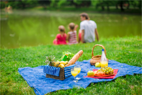 O Parque Estadual do Belém é ideal para fazer um piquenique em família