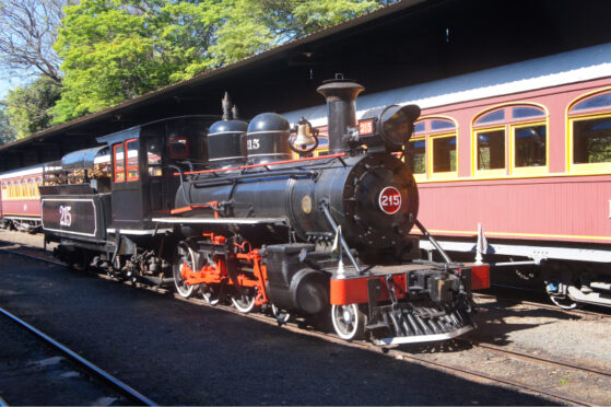 Maria Fumaça da locomotiva histórica de Campinas