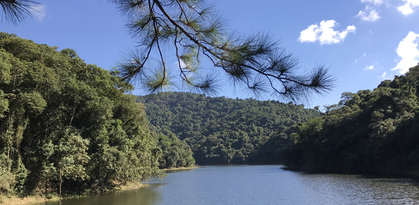 Natureza, cultura e lazer: 6 passeios para fazer na Zona Norte de São Paulo