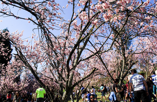 Parque do Carmo