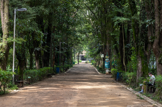 Parque do Piqueri