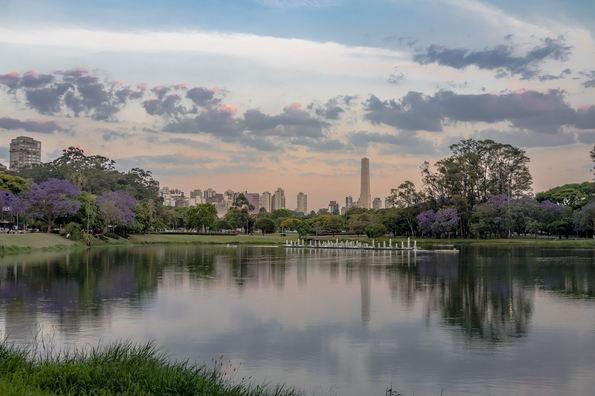 O que fazer na Zona Sul de São Paulo? Lugares e dicas imperdíveis